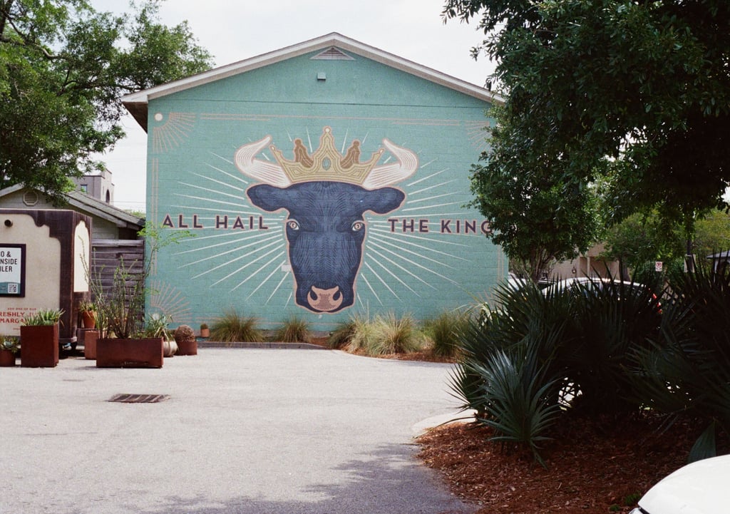 fujifilm_fujicolor_pro_400h_05_06_2025_000262240071