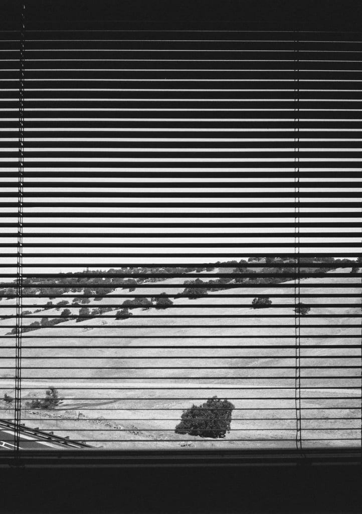 ilford_hp5_plus_09_11_2024_000141420007