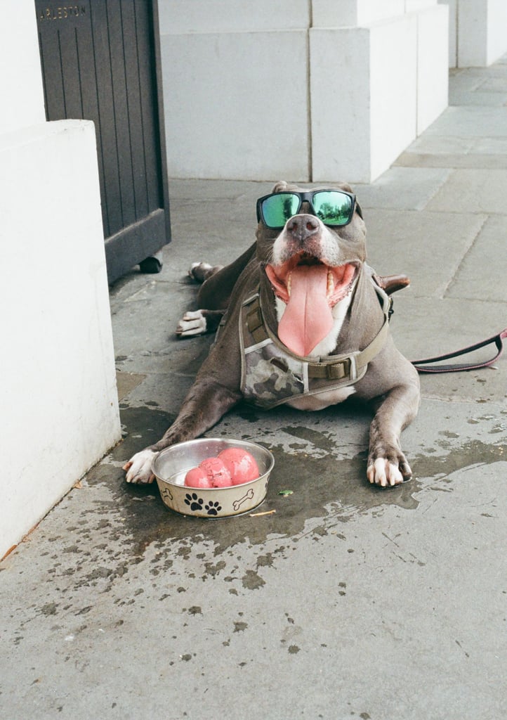 kodak_colorplus_200_05_06_2025_000262250014