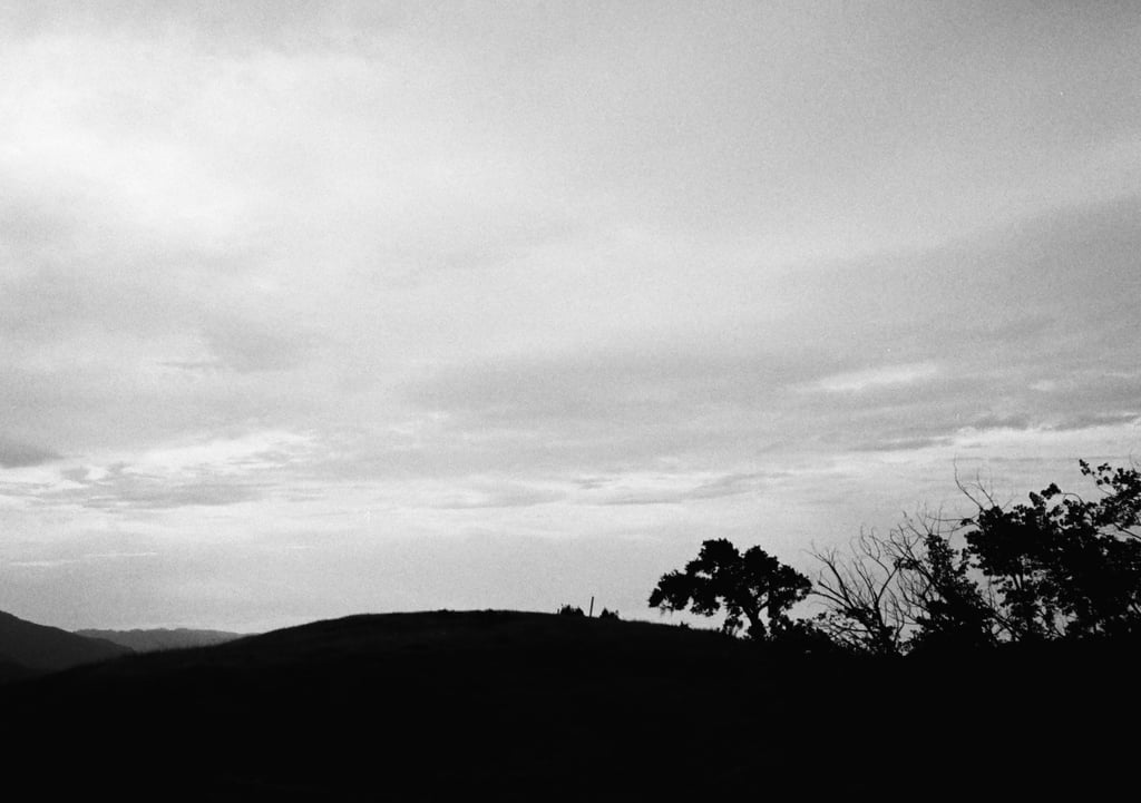 kodak_professional_tri-x_400_09_11_2024_000294540001