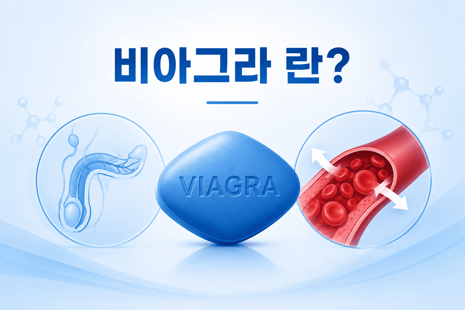 비아그라
