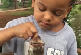 Fish scares boy while fishing