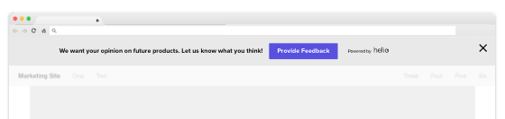 Website bar intercept survey