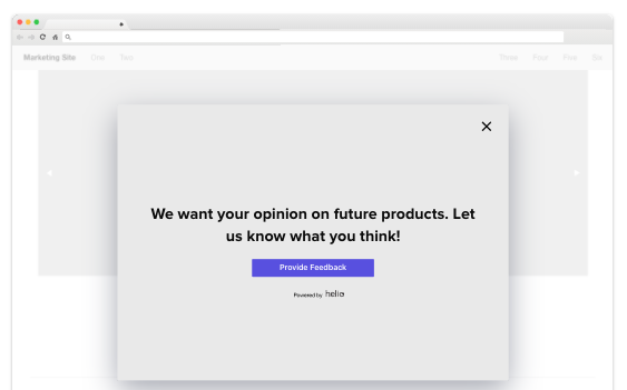 Website modal intercept survey