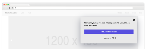 Website push intercept survey