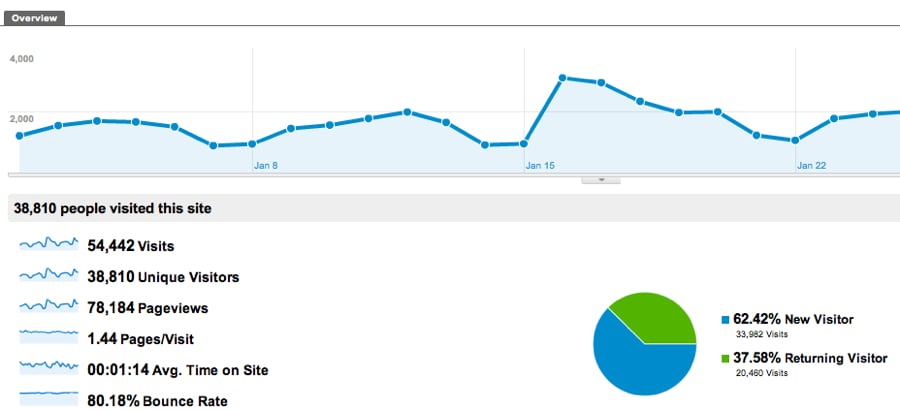 A Google Analytics Chart that shows user metrics.