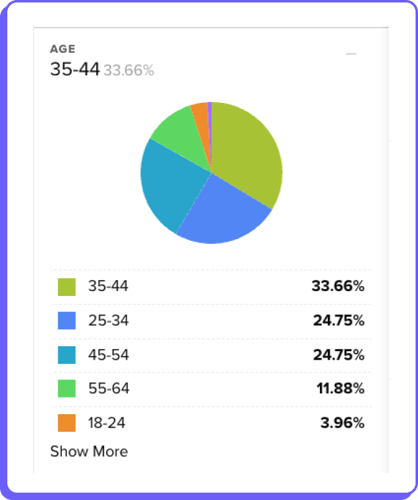 Audience filters to support audience segmentation.