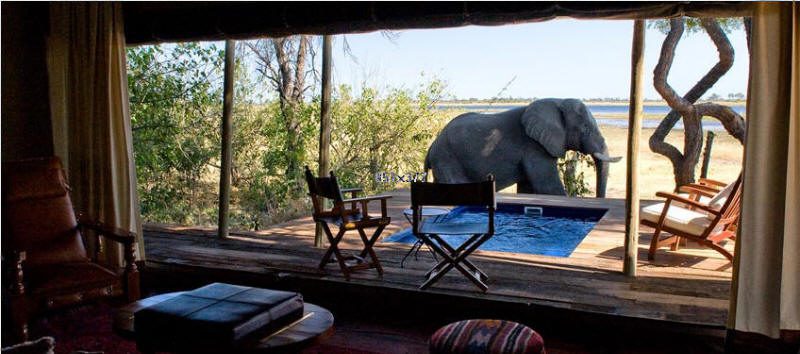 11-Day Botswana & Zimbabwe: Luxury Experience