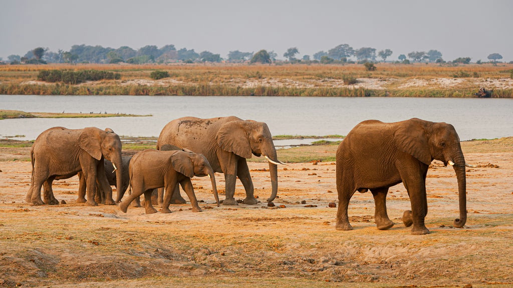 Luxury Honeymoon in Africa