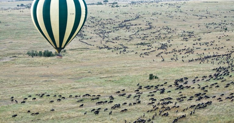Hot-air balloon floating over the Serengeti plains and wildebeest herds