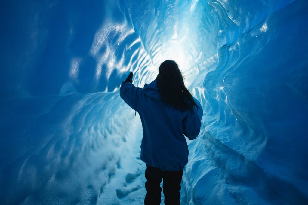 Antarctica Adventure Tour & South Africa: Explore Wildlife, Landscapes & Ice