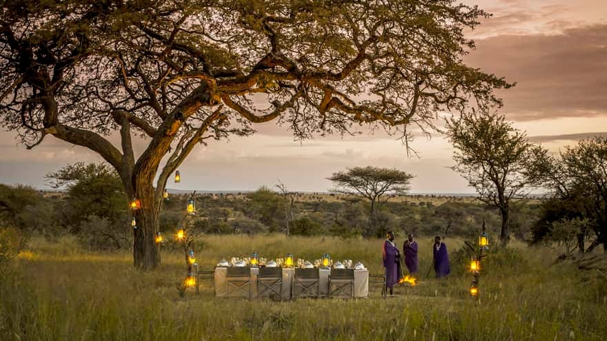 Wedding in Serengeti National Park