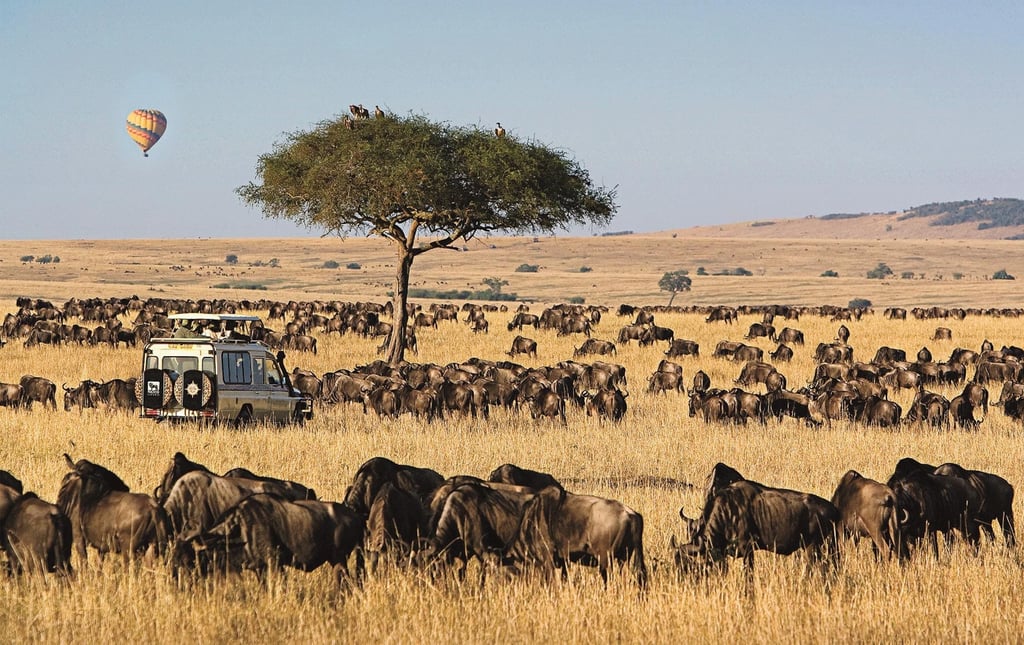 Serengeti Wildlife Safari: Explore Tanzania in 2 Days