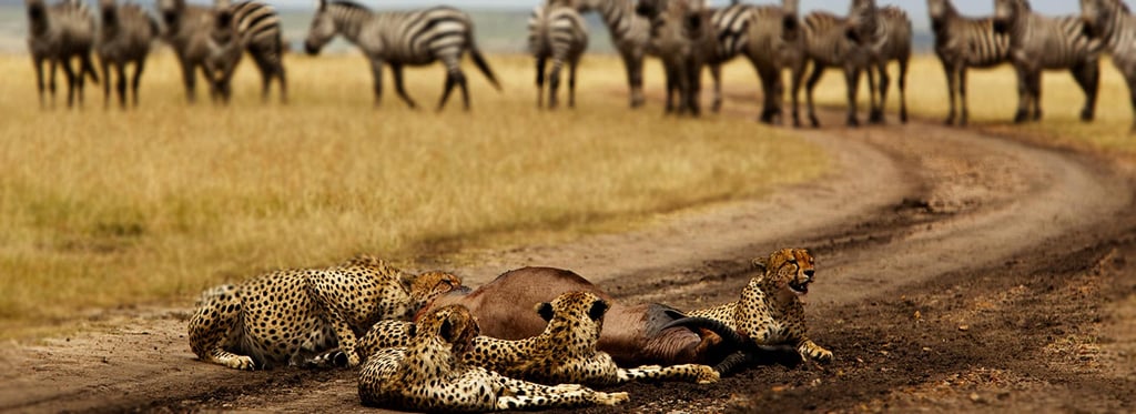 3-Day Masai Mara Safari from the Coast