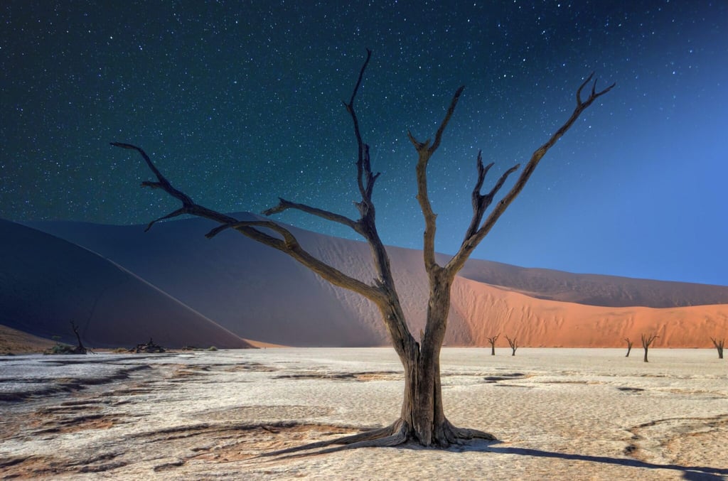 10-Day Namibia Journey: Sossusvlei, Etosha & Wildlife Adventure