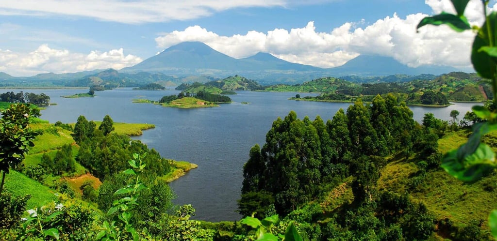 Uganda Gorilla Trekking, Chimpanzee Tracking & Safari Adventure