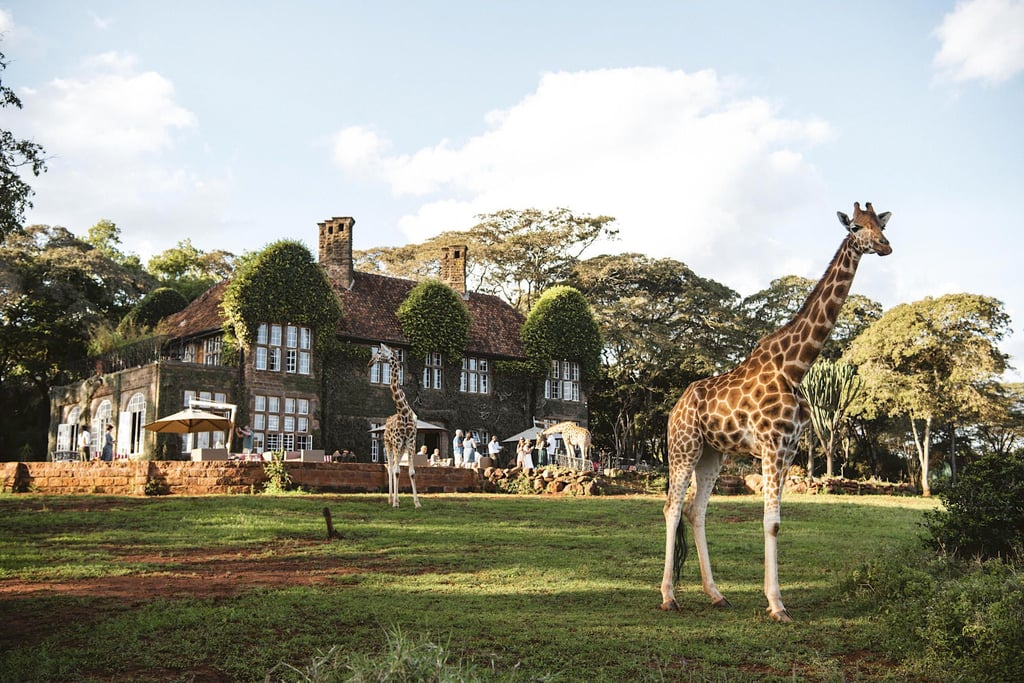 4-Day Kenya VIP: Giraffe Manor & Masai Mara