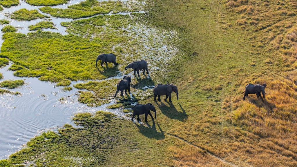 9-Day Botswana: Makgadikgadi Pans, Chobe & Okavango Delta Experience