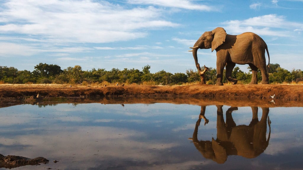 Botswana 9-Day Itinerary