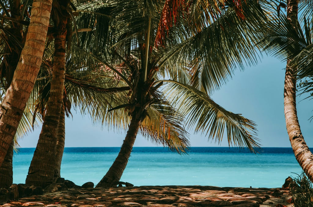 Madagascar Highlights: 12-Day Tour of Andasibe Rainforest and Nosy Be Beaches