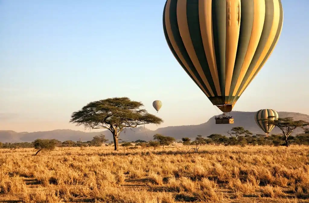 Serengeti Balloon Safari: 3-Day Fly-in Wildlife Experience