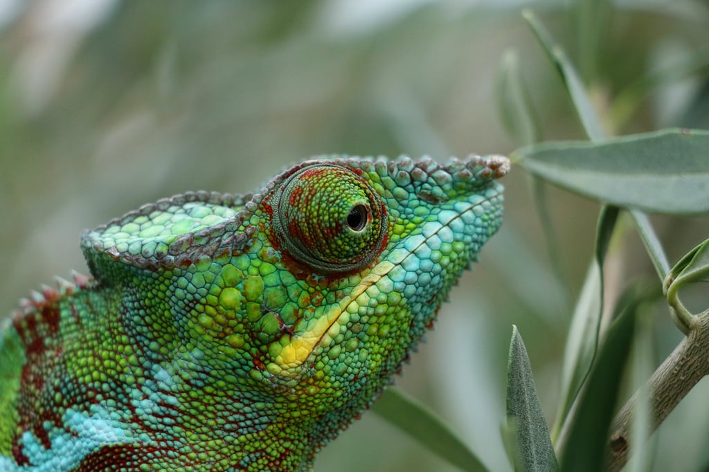 Madagascar Fam Trip: Discovering East & West