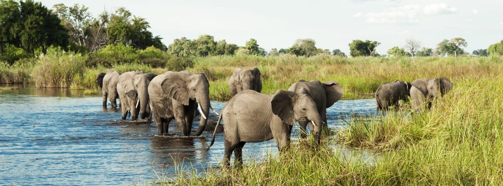 Cape Town & Botswana Safari Experience: 12-Day Itinerary