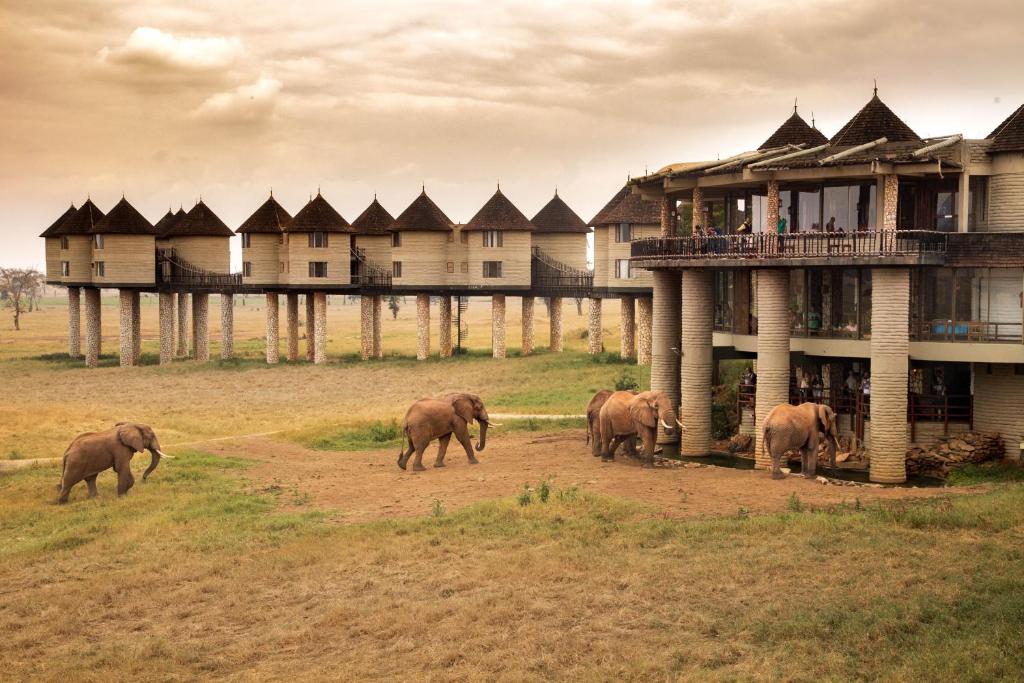 3-Day Tsavo East & Taita Hills
