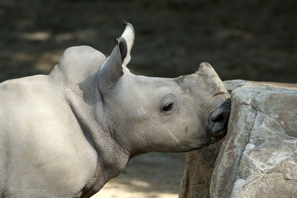6-Day Namibia Private Tour