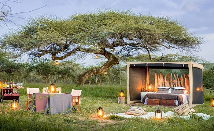 Tanzania VIP Safari Experience