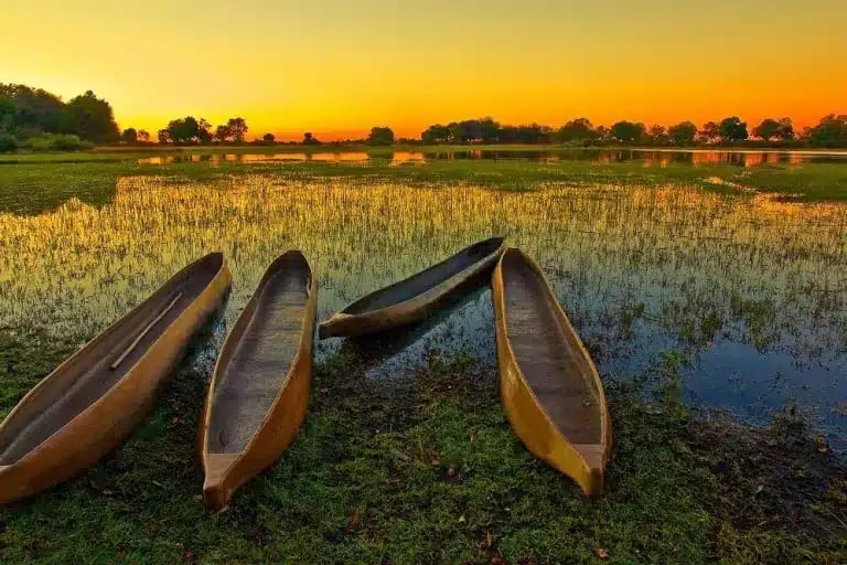 5-Day Botswana: Chobe, Okavango Delta & Khwai