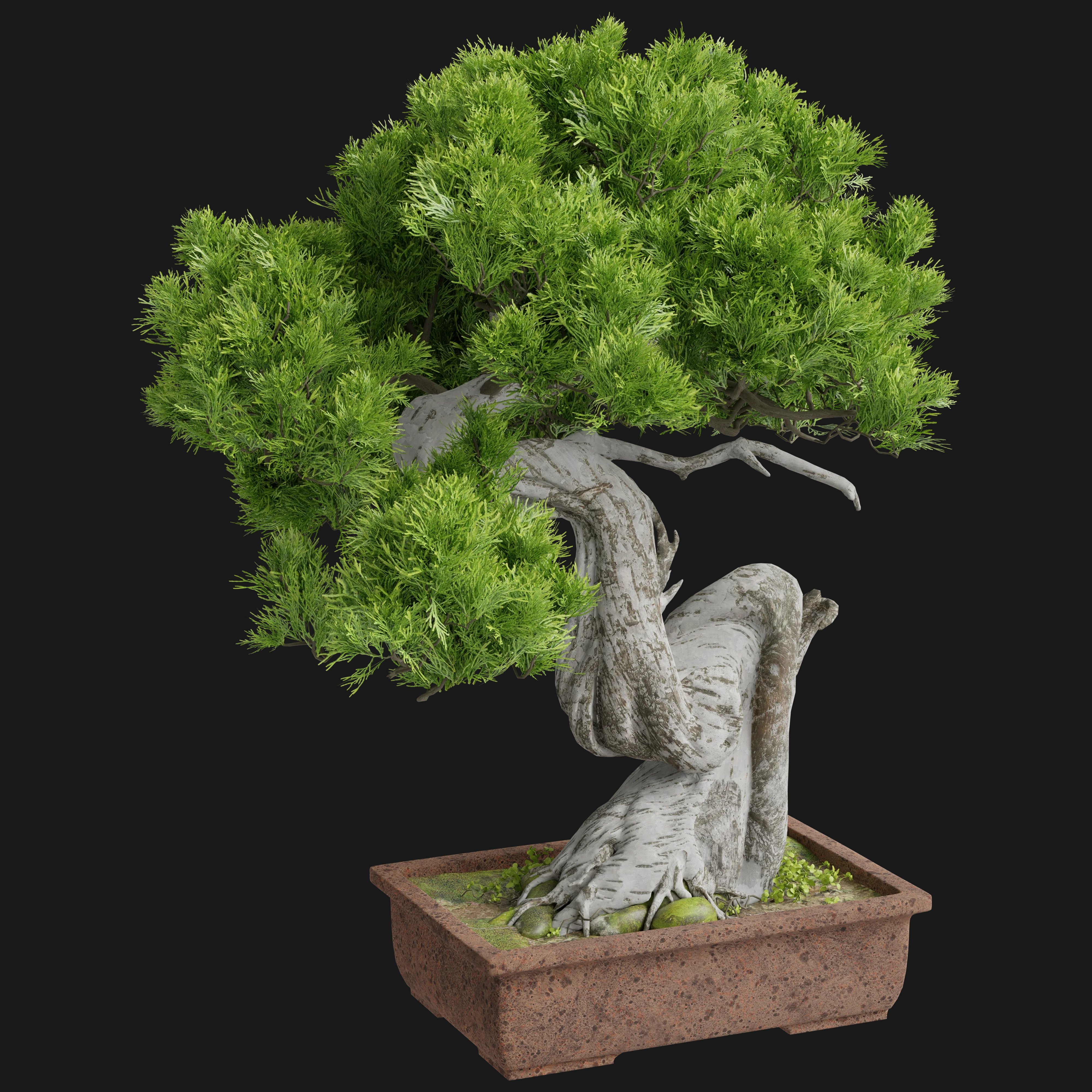 Bonsai Tree 3D Model - A23D