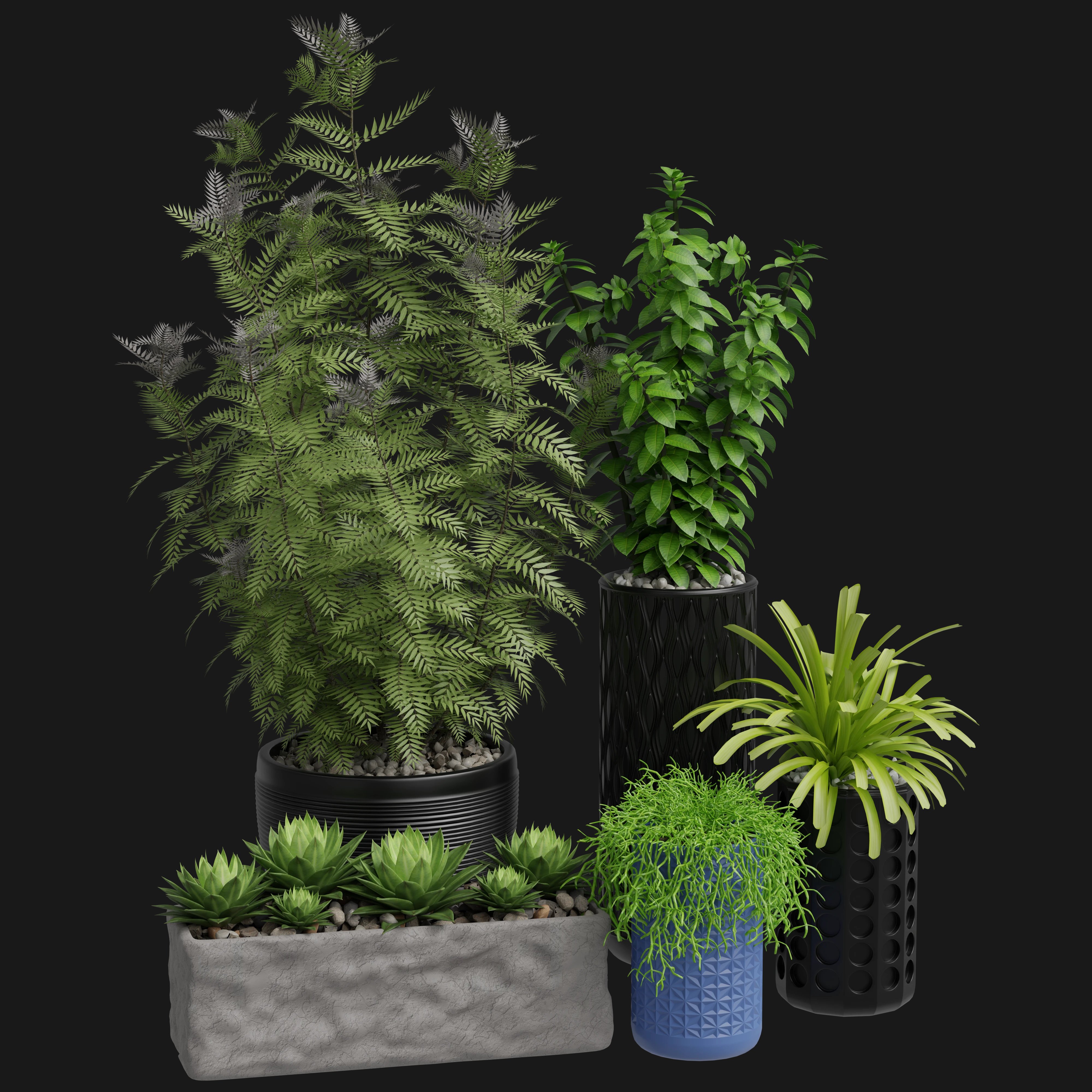 Decorative Potted Plants 3D Model - A23D