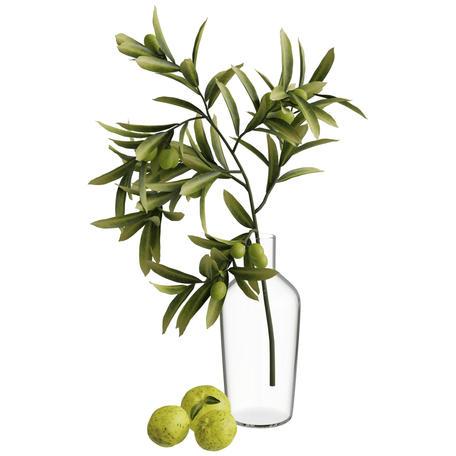 Olive Branch 3D Model - A23D