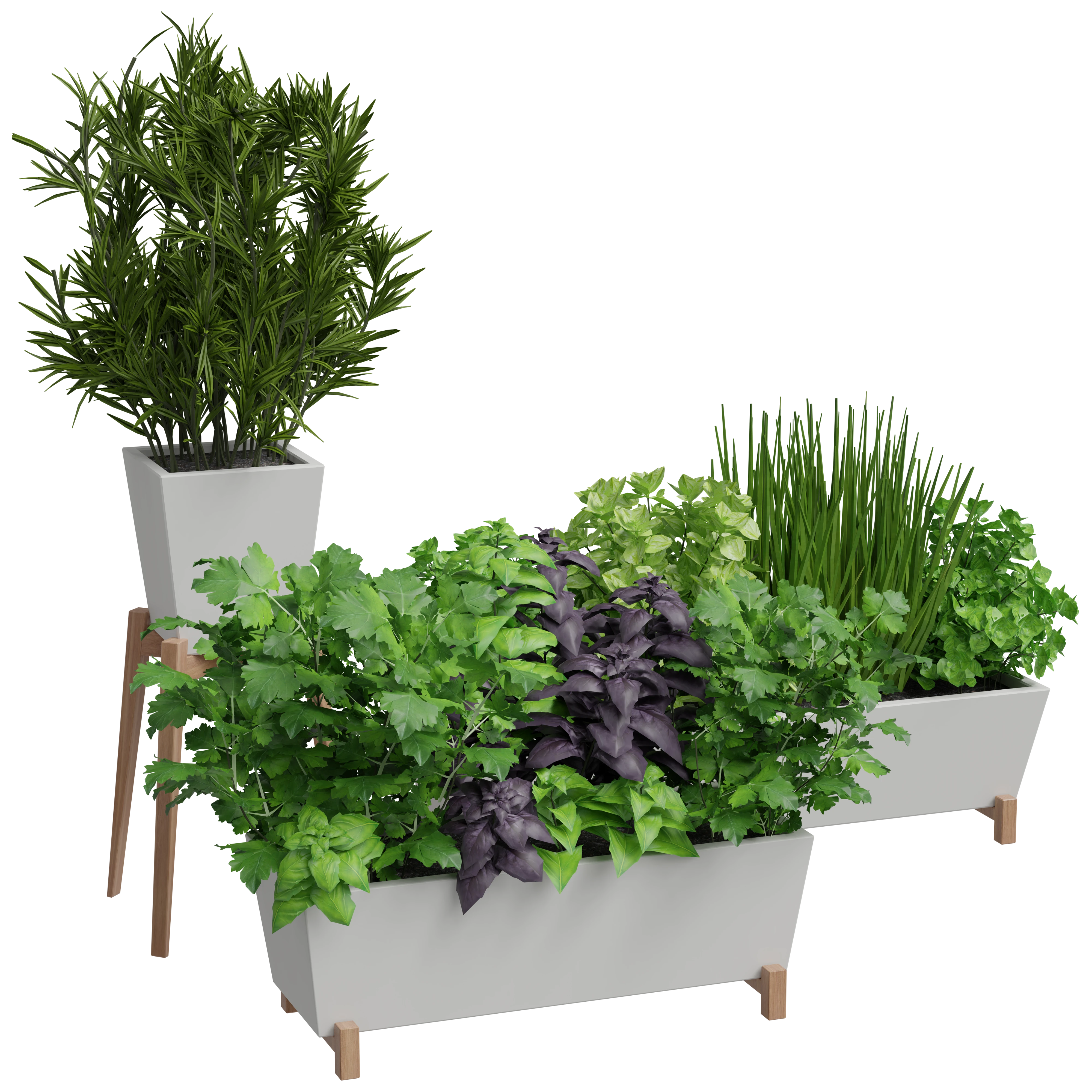 3D CARGO【植物編】3D形状データ集 OBJフォーマット 3D CARGO【植物編】3D形状データ集 OBJフォーマット public
