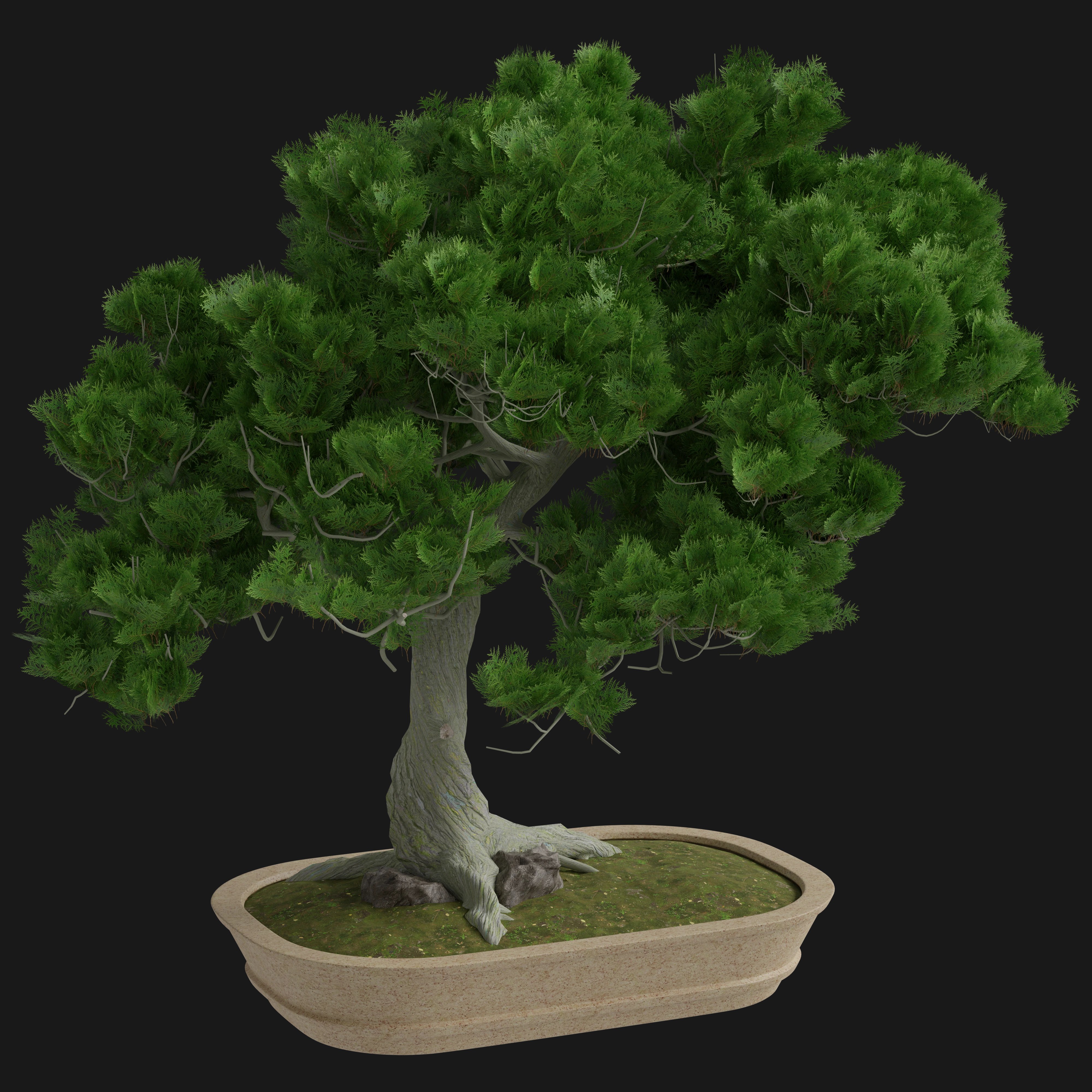 Bonsai Tree 3D Model - A23D