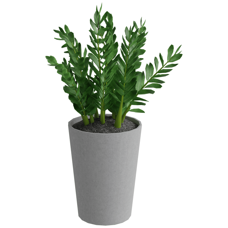Zz Plant 3D Model - A23D