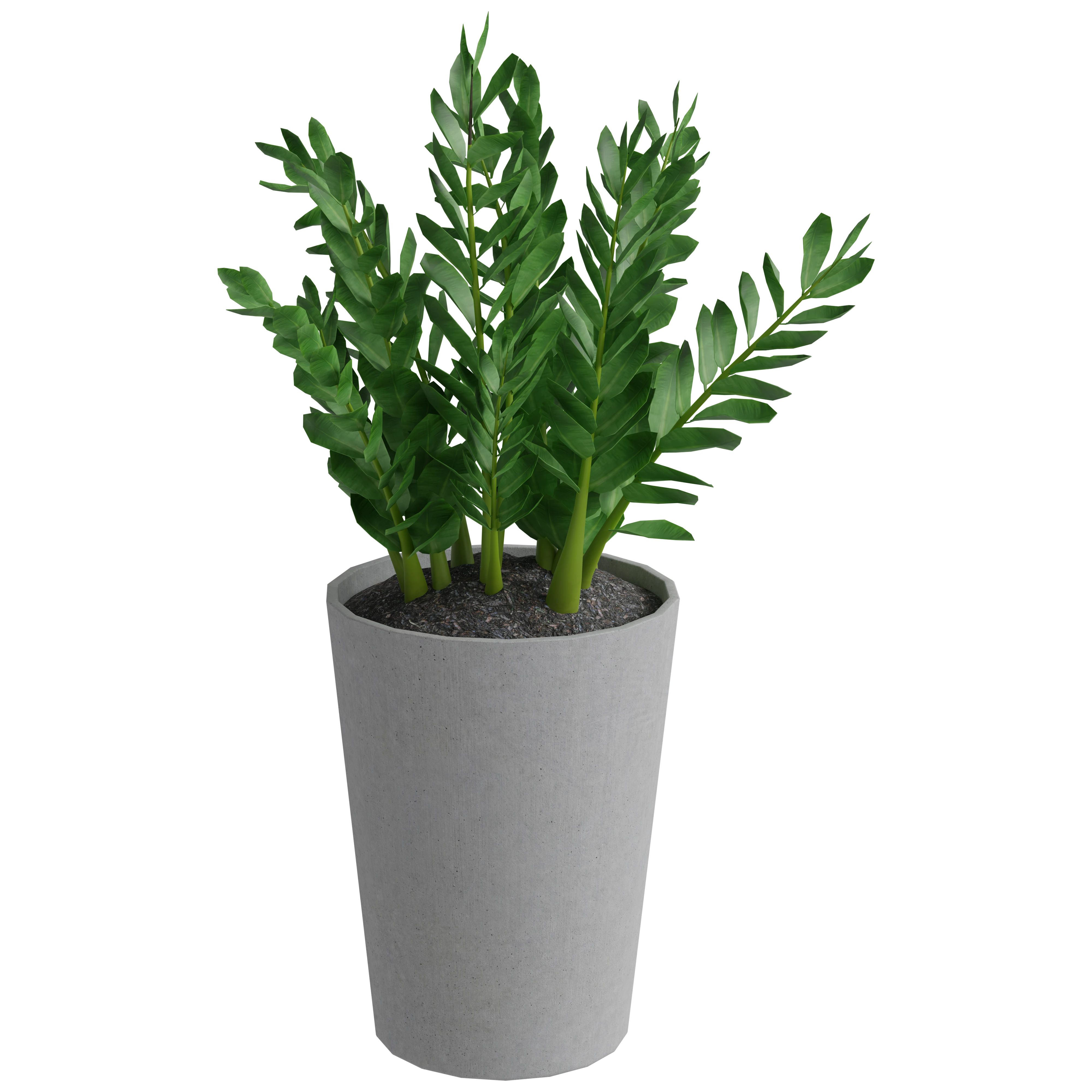 Zz Plant 3D Model - A23D