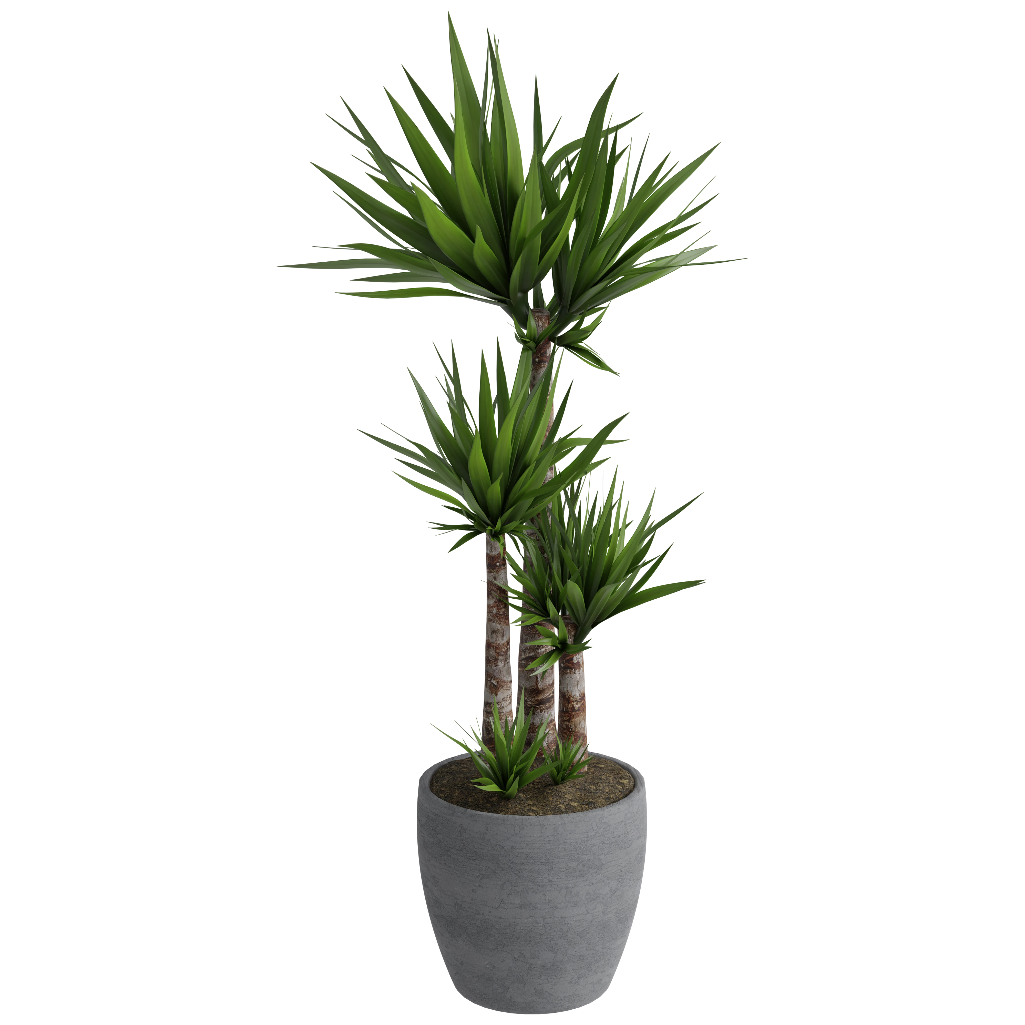 ゆか植物 public