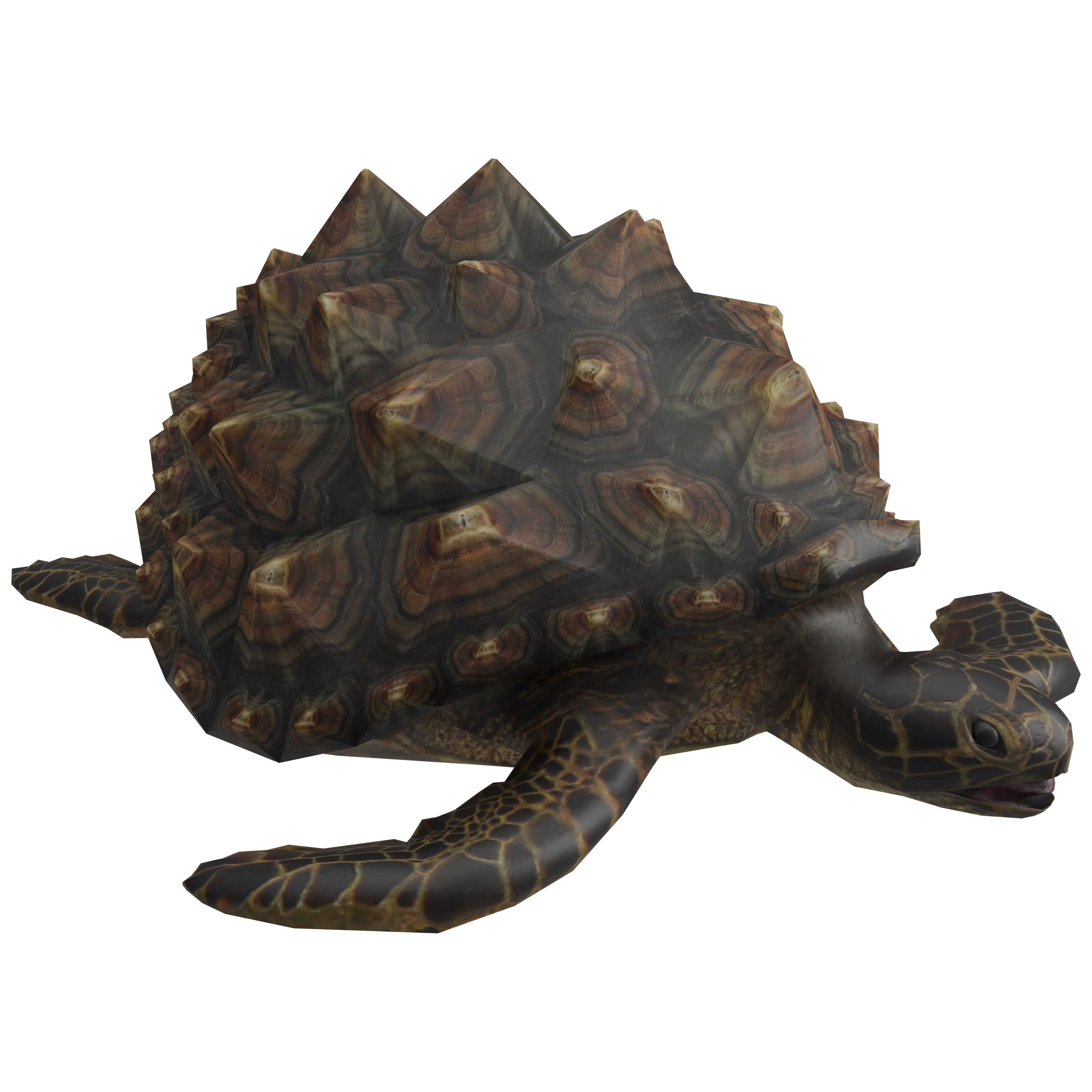 珍品！レンズ状パズル　3D効果　「亀を数えて」Count The Turtles Amazon | 珍品 レンズ状パズル 3D効果 亀を数えて Count The