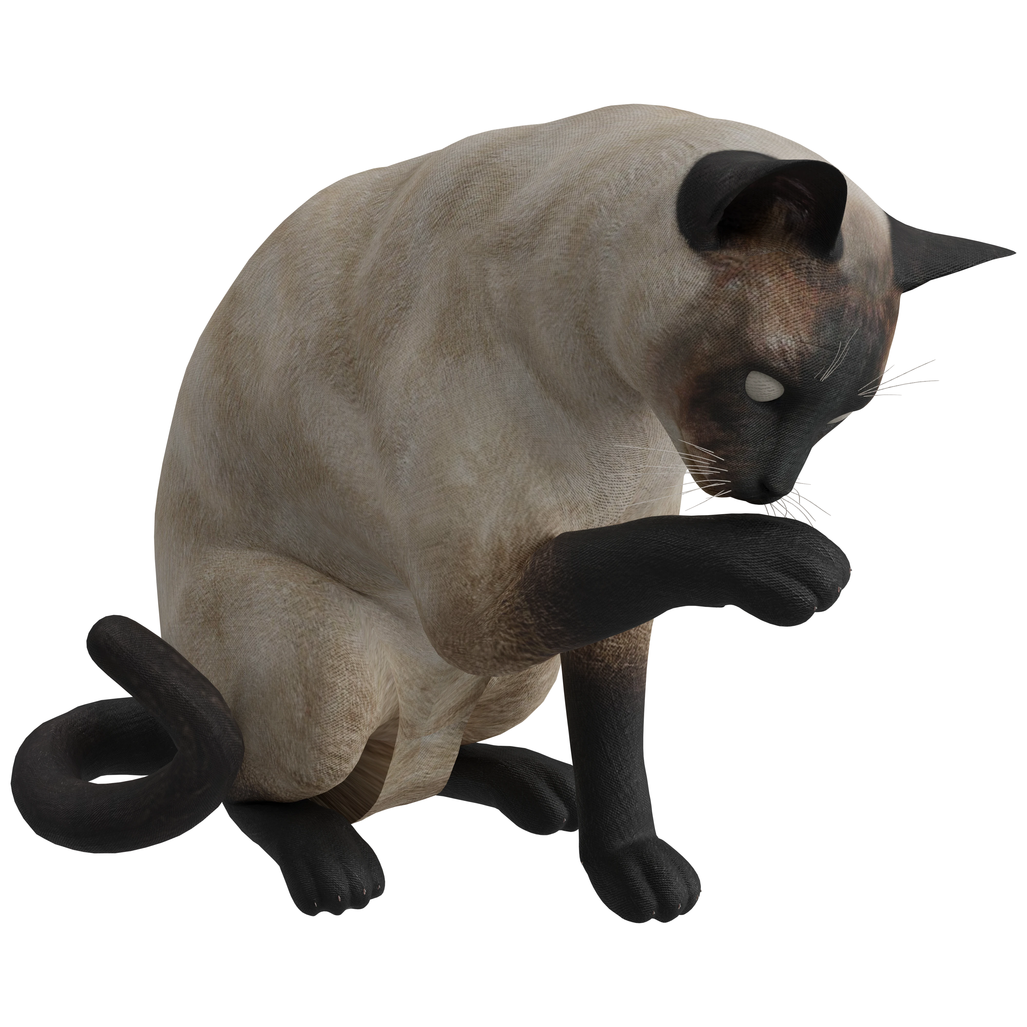 Siamese Cat 3D Model - A23D