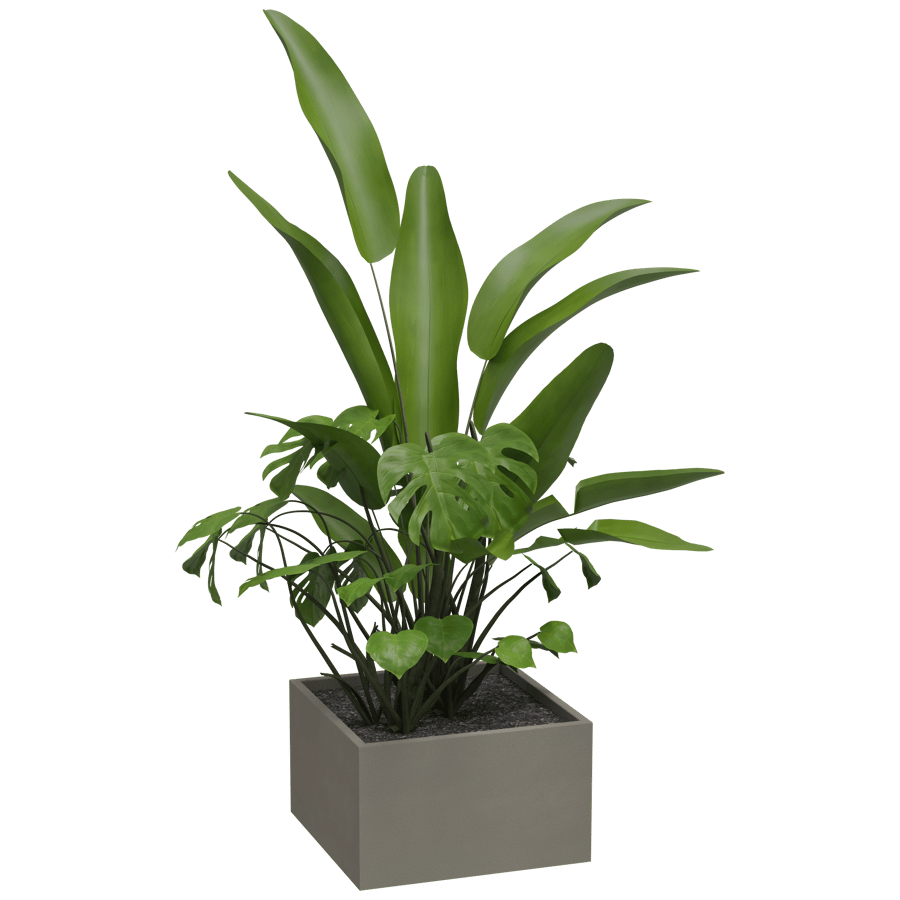 Plants with Pot 3D Model - A23D