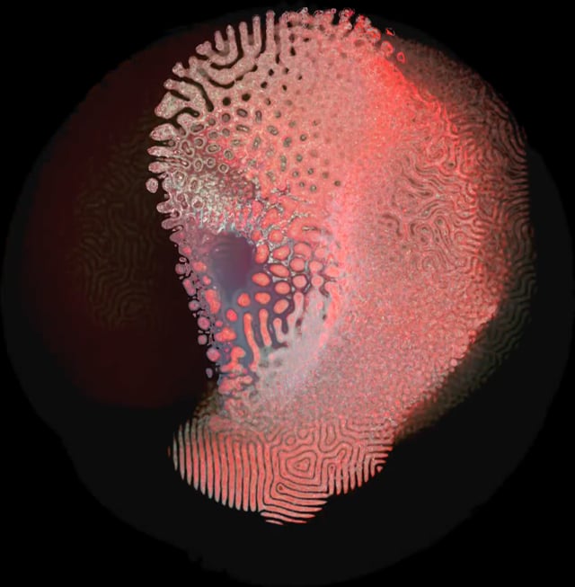 Clip from Cat's Eye sketch (low res)