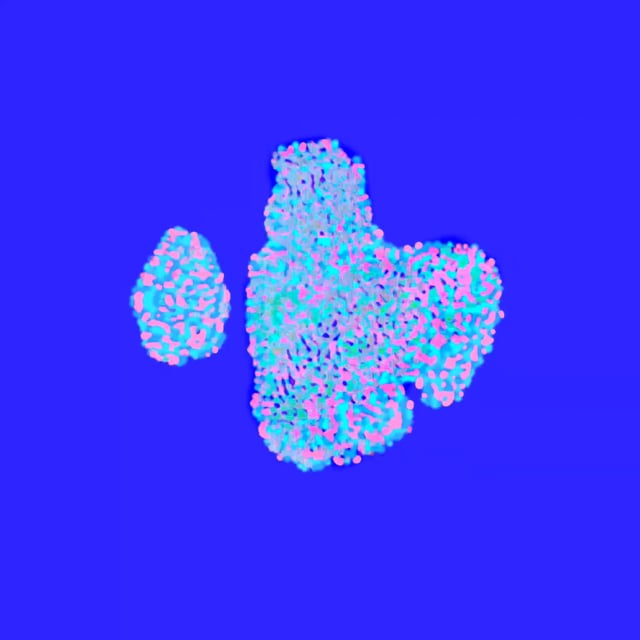 pooof-jun29-1