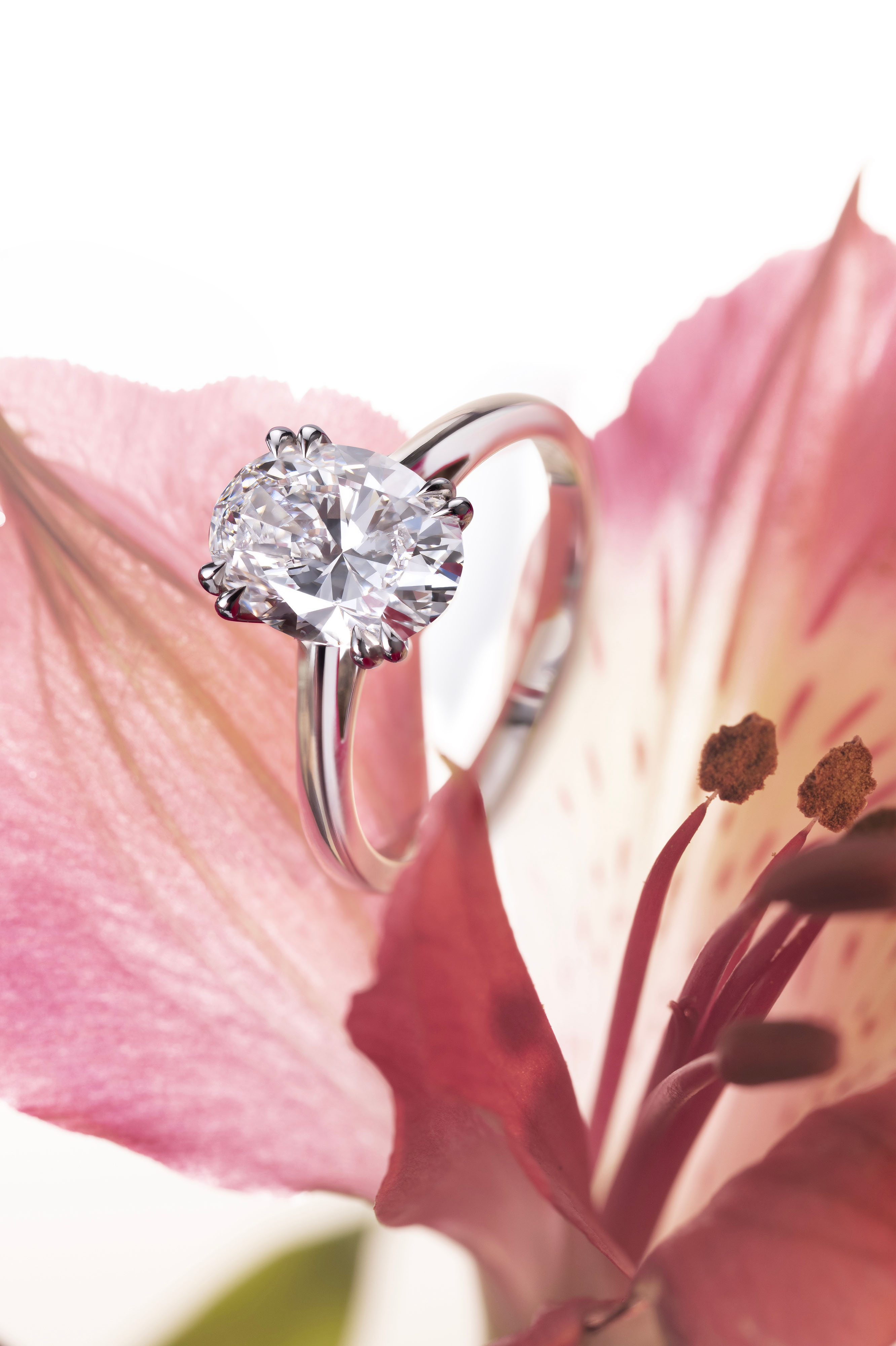 Engagement