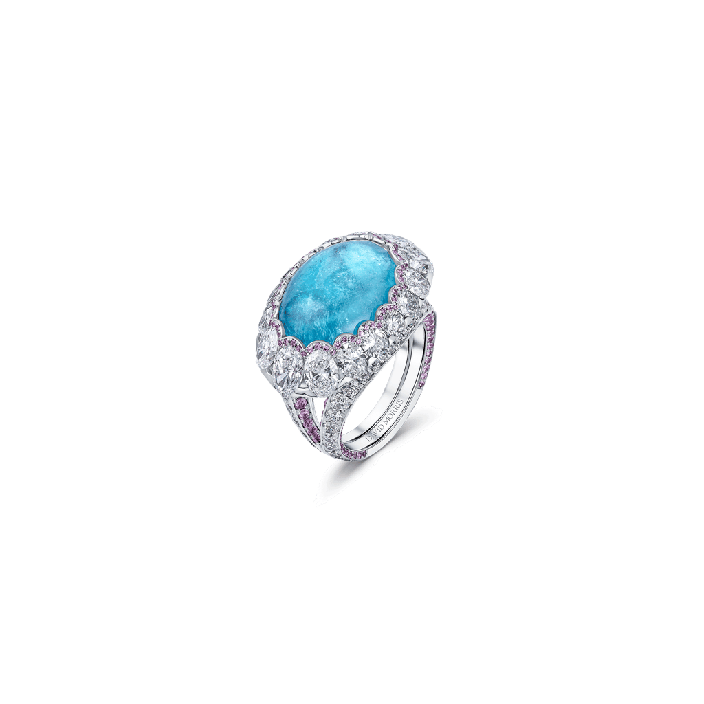 Gemstones 凛 The Serendipity Ring | 4.39 CT Oval Starbrite™ Tourmaline