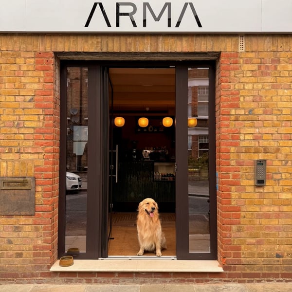 ARMA BJJ gym photo