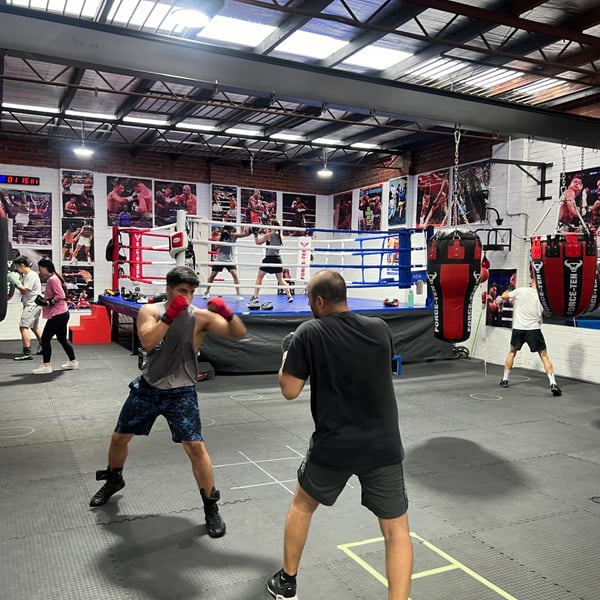 Altius Boxing Gym gym photo