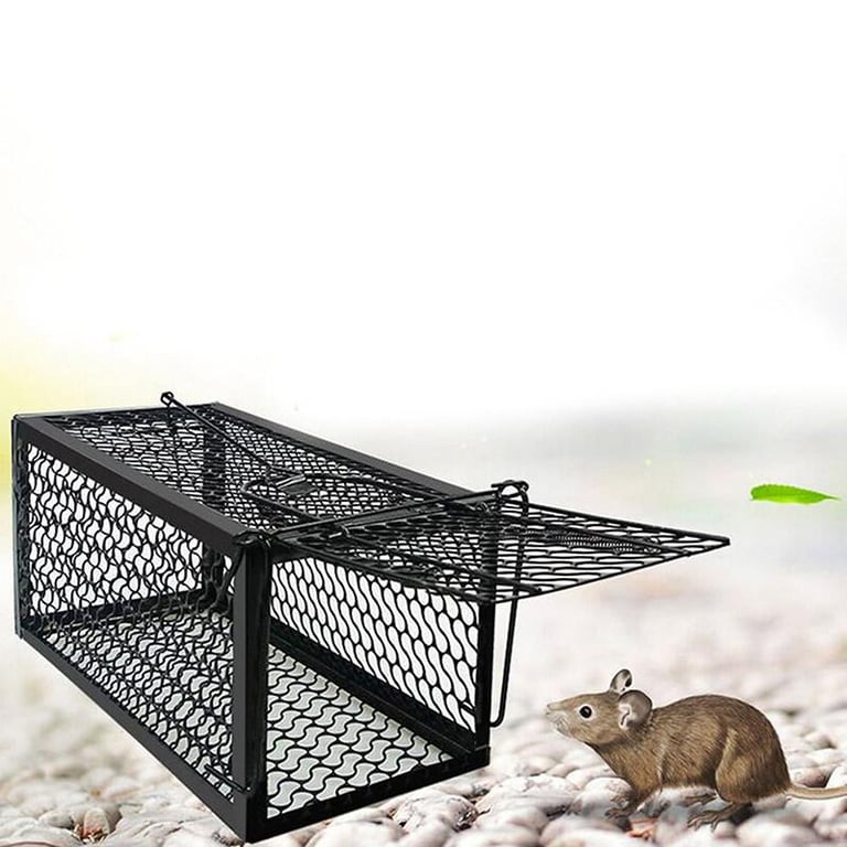 Rat Trap Cage Small Live Animal Pest Rodent Mouse Control Bait Catch
