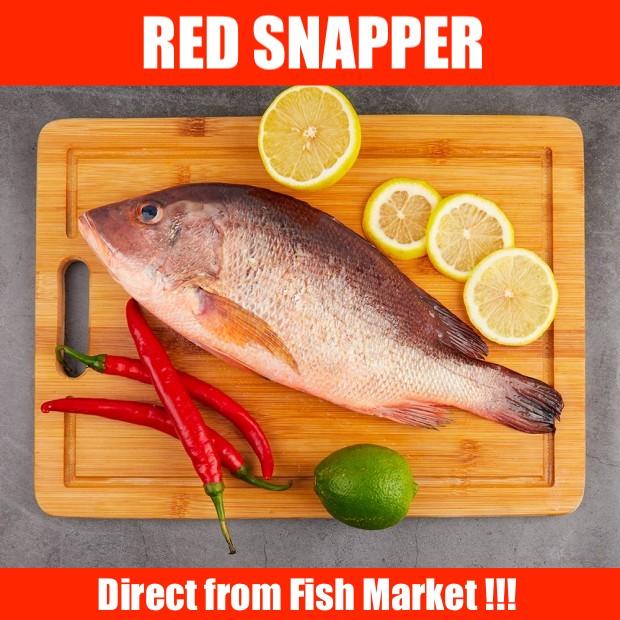 Red Snapper 红鸡鱼 Whole Fish 500g to 700g - Fresh Direct from Fish Market!